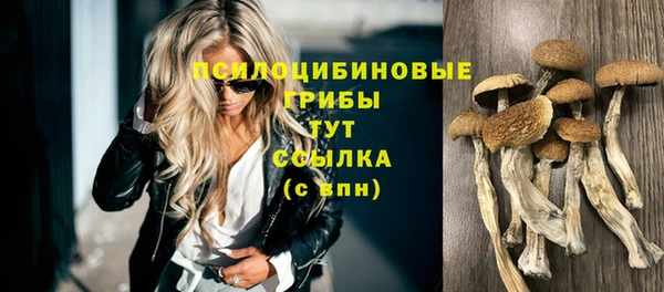 сатива Семилуки
